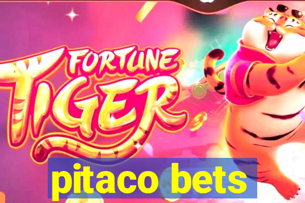 pitaco bets